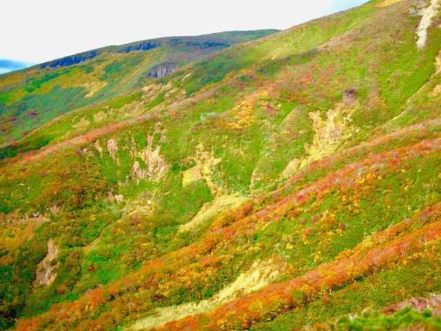 Отель Yamanosho Yuzawa  Экстерьер фото